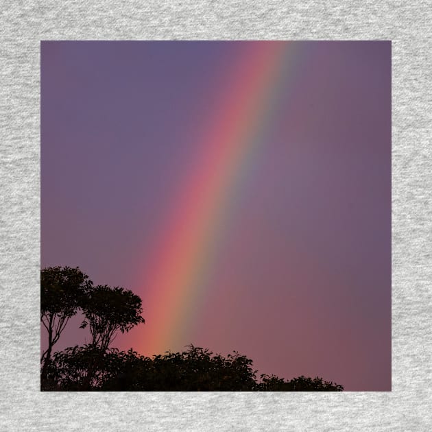 Rainbow Against Purple Sky by Geoff79